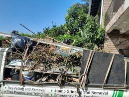 Best Same-Day Junk Removal Services  in Linden, MI