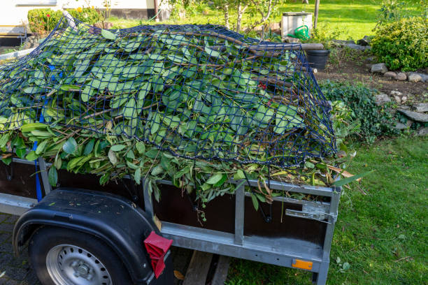 Best Residential Junk Removal  in Linden, MI